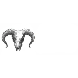 Logo 2