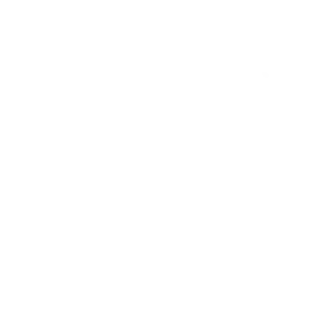 Logo 7
